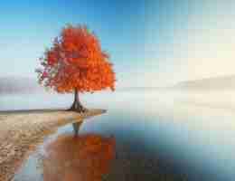 做﻿谷‍歌﻿seo有​效﻿果​吗‌安﻿全‌吗﻿